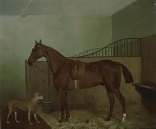Hunting horse and dog in stable interior