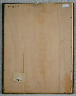 Icoaa ro