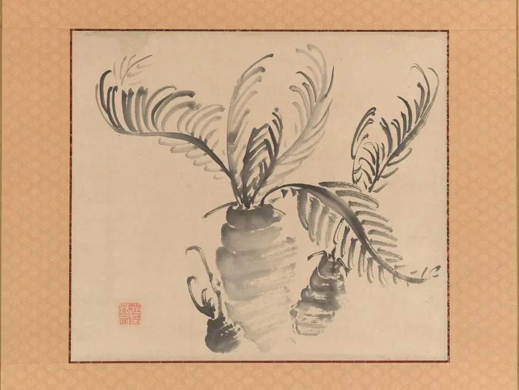 Cycad