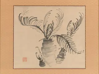Cycad