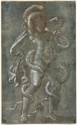 Man Entwined by Two Snakes, by Il Pordenone