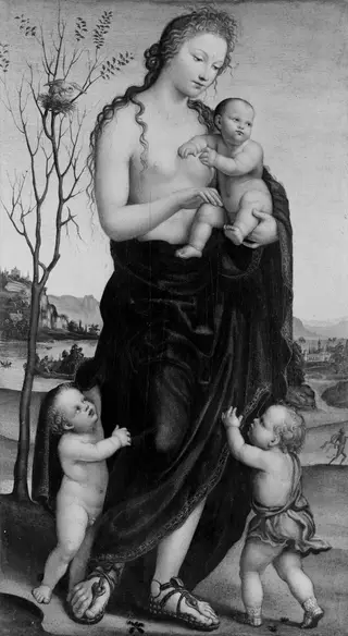 charity, by Il Sodoma