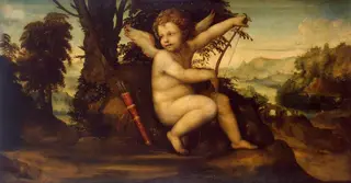 Cupid in the Landscape, by Il Sodoma