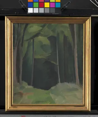 Inside the Wood