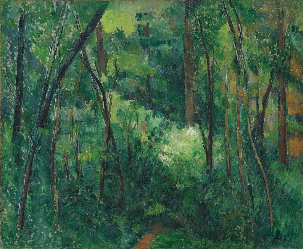 Interior of a forest