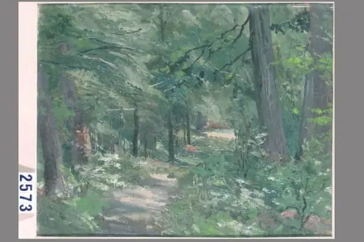 Drum în pădure