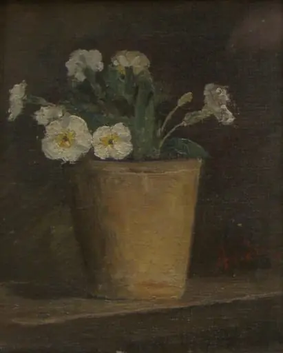 Ghiveci cu flori albe, by Ion Andreescu