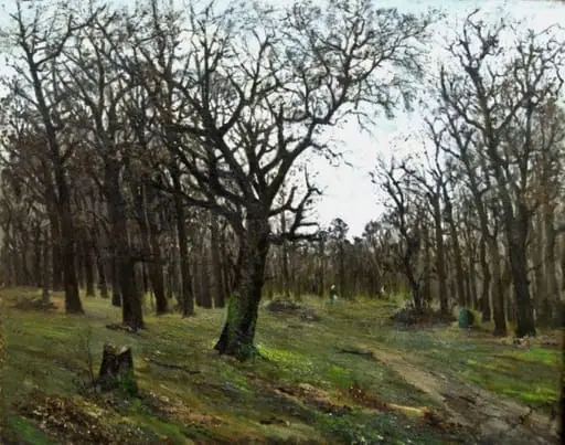 Pădure desfrunzită, by Ion Andreescu