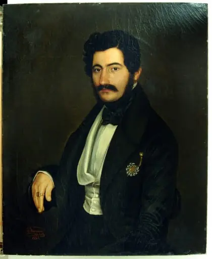 Aga Iancu Manu, by Ion Negulici