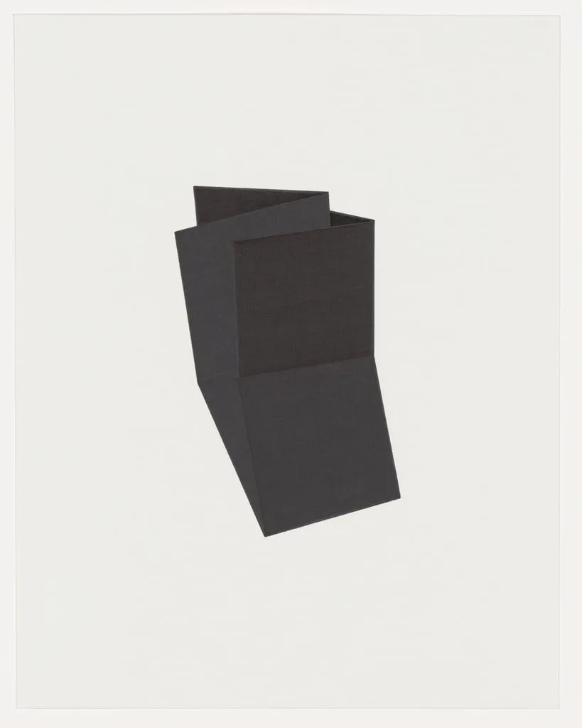 Untitled, by Iran do Espirito Santo, 2006