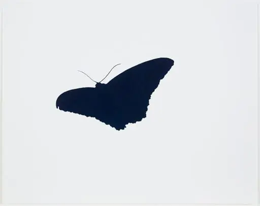 Untitled, by Iran do Espirito Santo