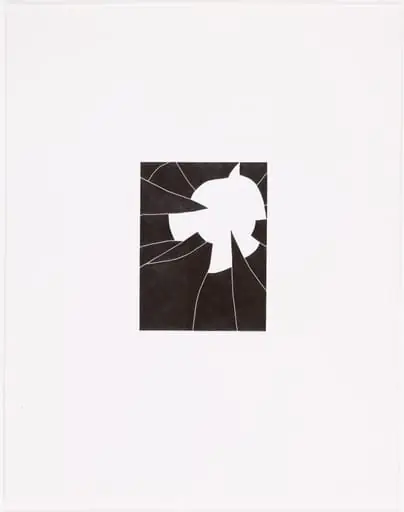 Untitled, by Iran do Espirito Santo