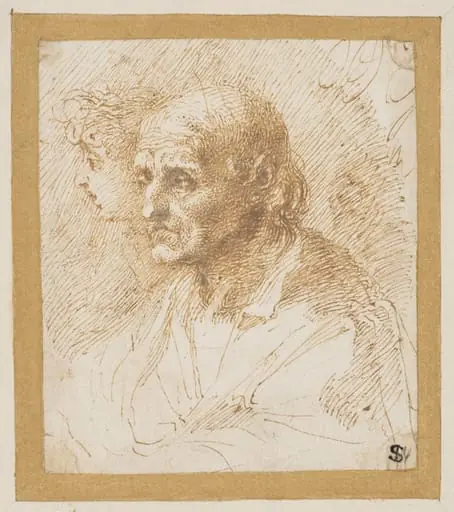 Study of the head of an old man, by Isaac Oliver