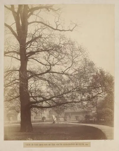 View of the grounds of the South Kensington Museum, 1891, by Isabel Cowper