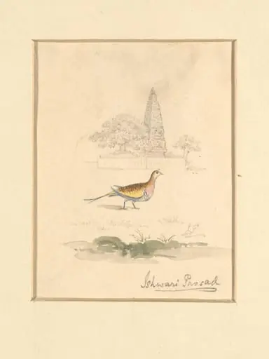 Bird and Temple, by Ishwari Prasad