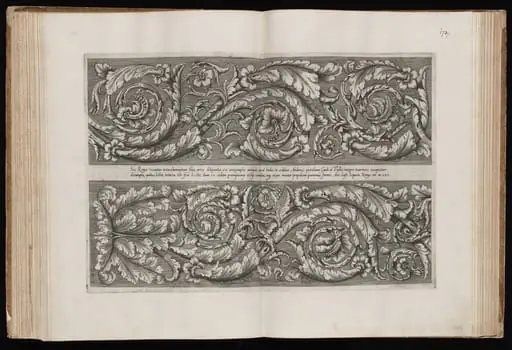 Acanthus Scrolls, by Italian 16th Century