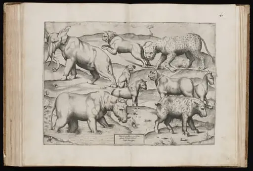 Animals from an Ancient Wall Painting [Table II], by Italian 16th Century