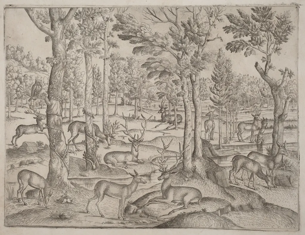 Deer in the Forest, by Italian 16th Century, ink, 1520