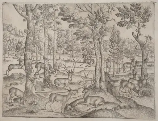 Deer in the Forest, by Italian 16th Century