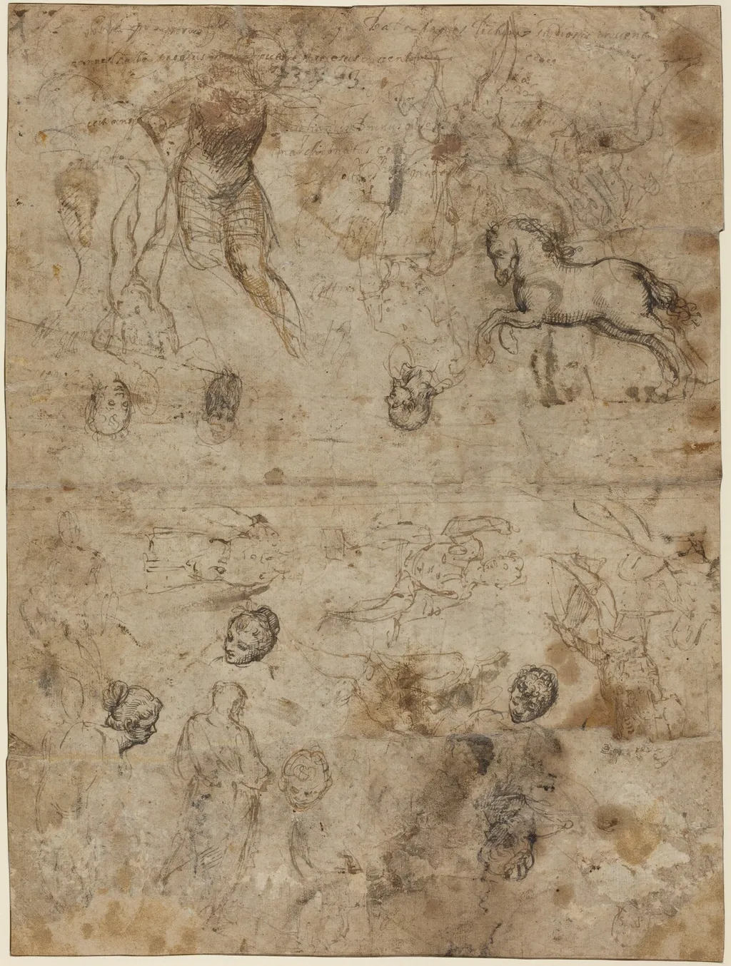 Sheet of Studies, by Italian 16th Century, chalk, 1501