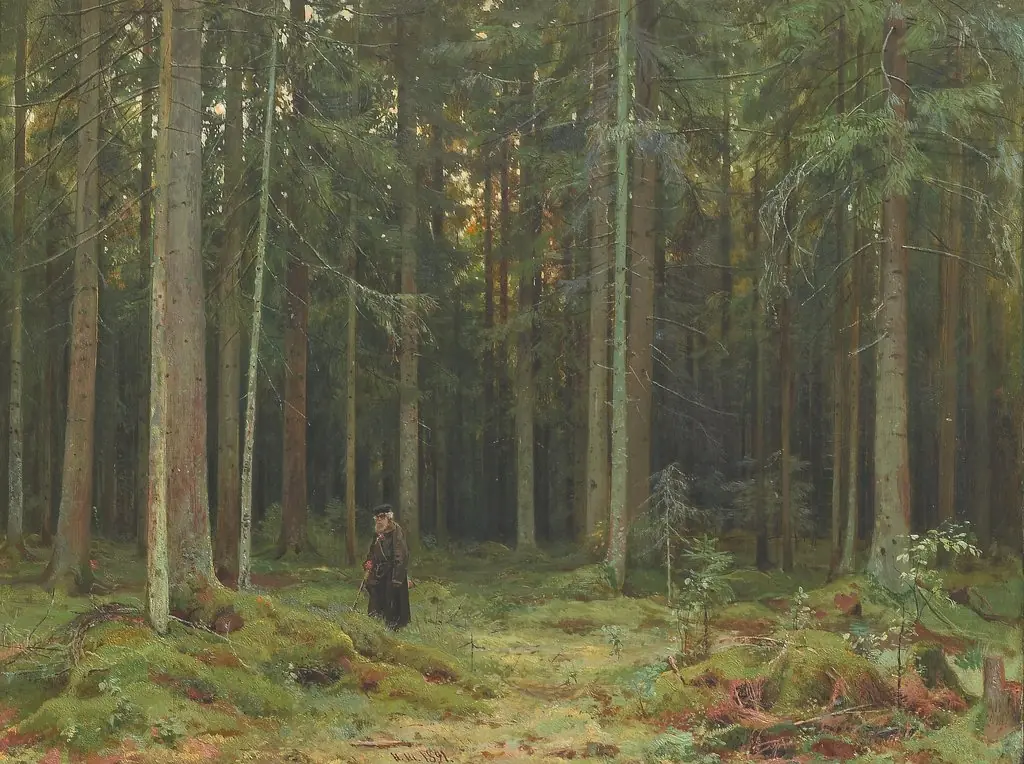 Countess Mordvinova's Wood. Peterhof, by Ivan Shishkin