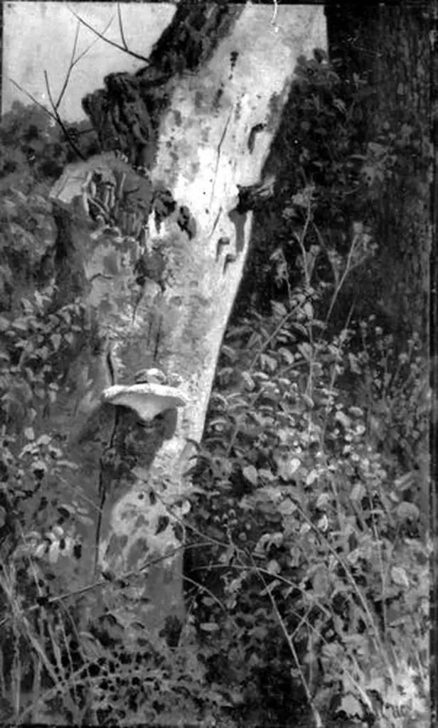 Detail of a Forest, by Ivan Shishkin