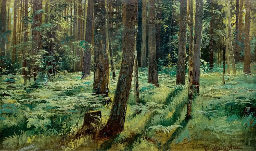 Ferns in the Forest. Siverskaya. Study, by Ivan Shishkin
