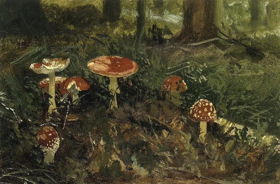 Fly-agarics. Study, by Ivan Shishkin, oil, 1890