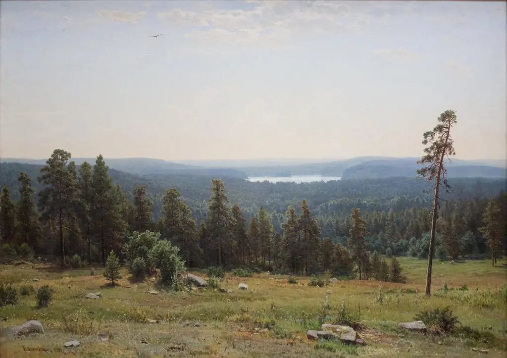 Forest distant views