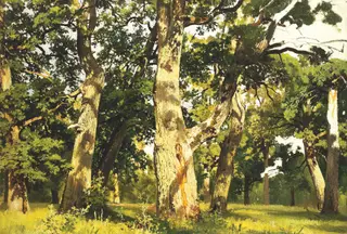 Oaks. Evening, by Ivan Shishkin