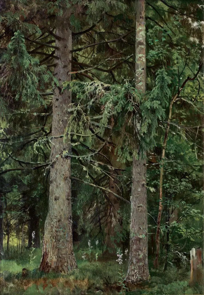 Spruce forest, by Ivan Shishkin