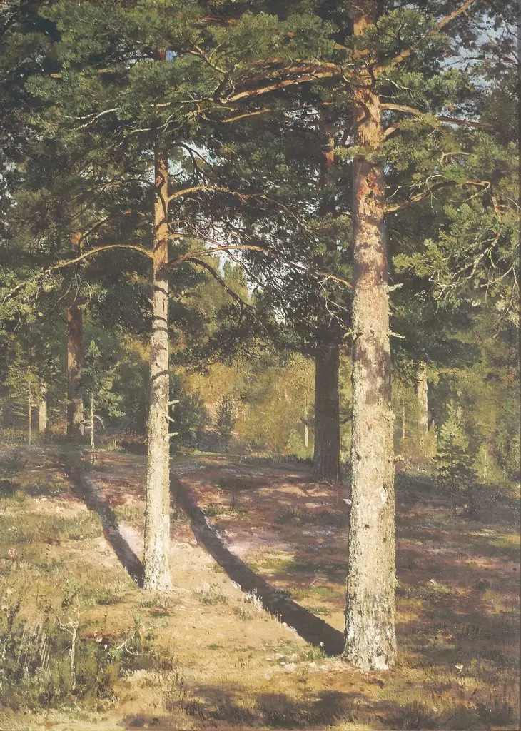 The Sun Lit Pines, by Ivan Shishkin