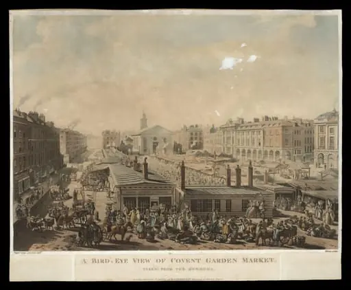 H Beard Print Collection, by J. Bluck