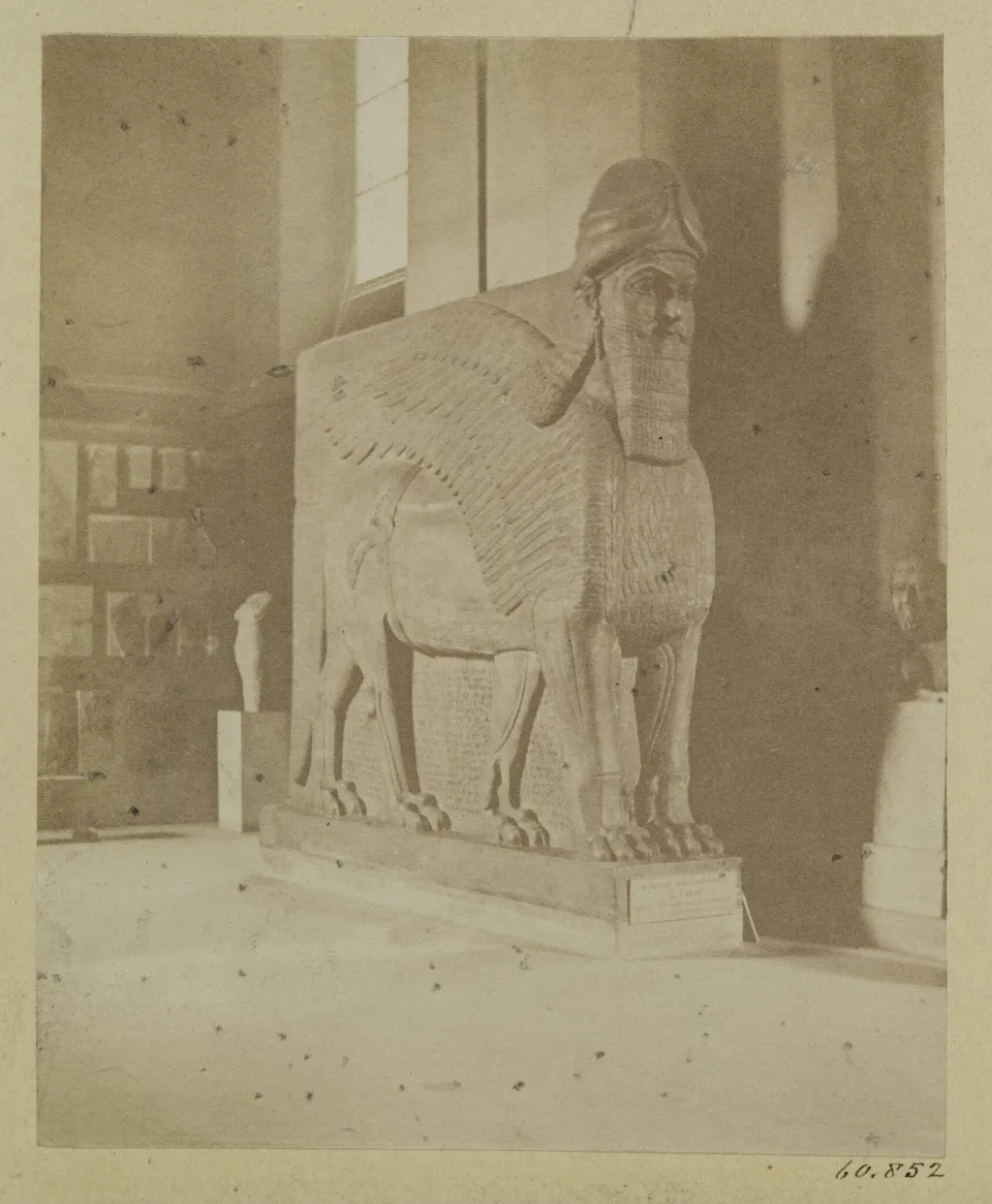 Assyrian sculpture of a lion winged. London: British Museum, by J. Davis Burton, photographic, 1860