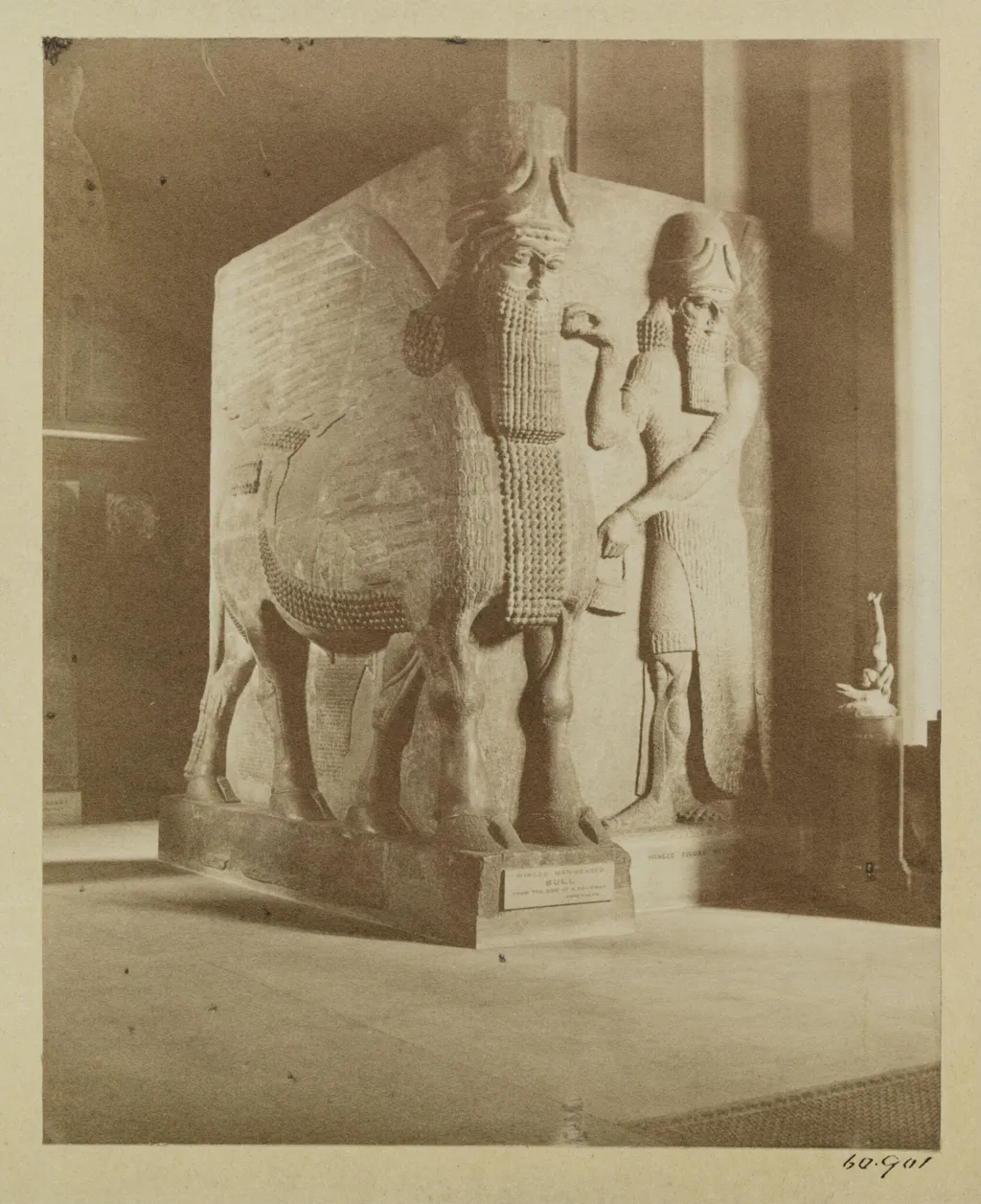 Assyrian sculpture of a winged bull, London, British Museum, by J. Davis Burton, photographic, 1864