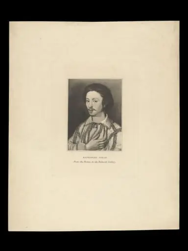 H Beard Print Collection