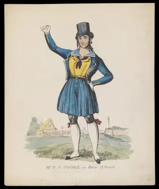 H Beard Print Collection
