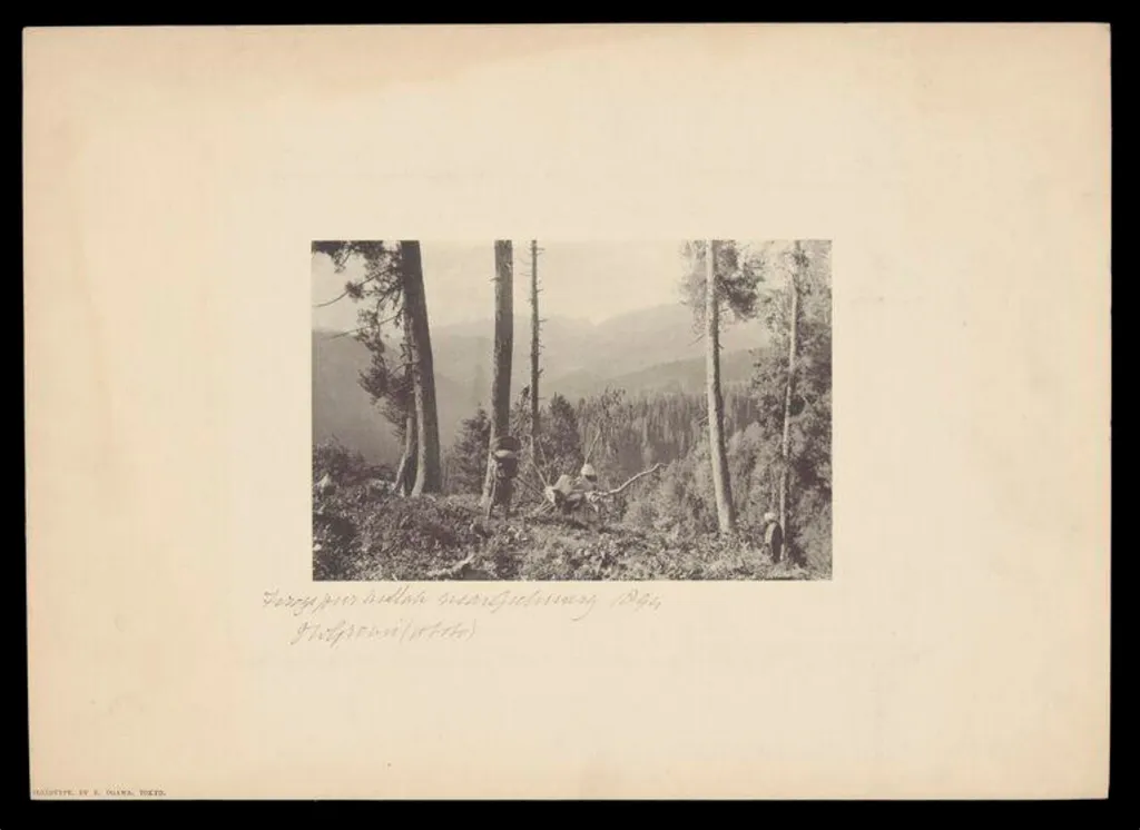 Gulmarg, by J.W. Groves, photographic, 1894