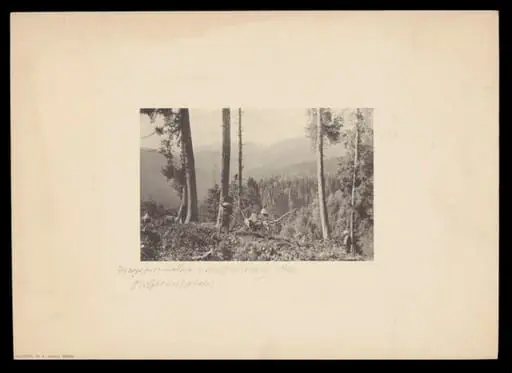 Gulmarg, by J.W. Groves