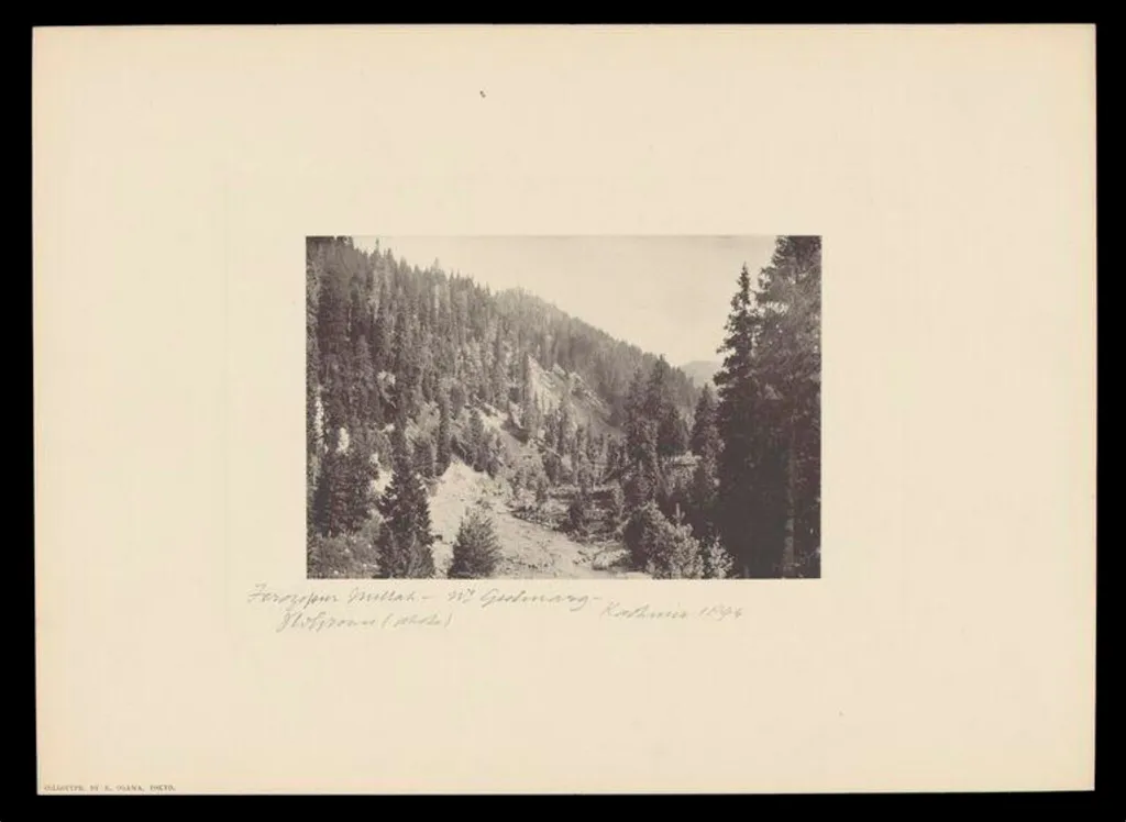 Gulmarg, Kashmir, by J.W. Groves, photographic, 1894