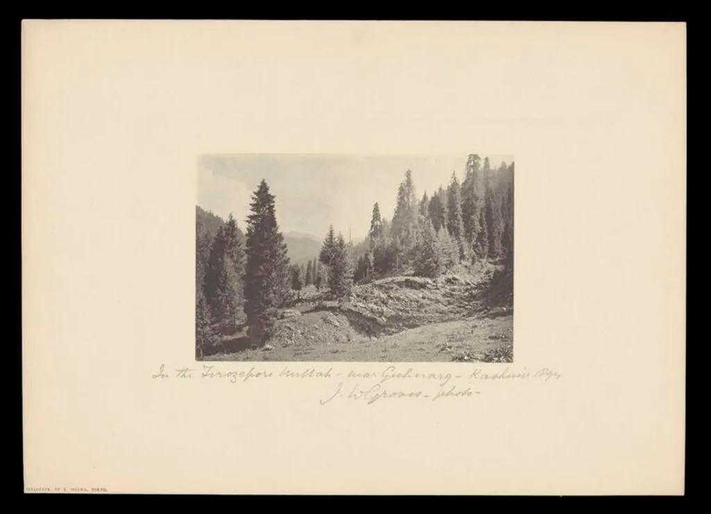 In the Ferozepur Nallah, near Gulmarg, Kashmir, by J.W. Groves, photographic, 1894
