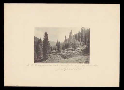 In the Ferozepur Nallah, near Gulmarg, Kashmir, by J.W. Groves