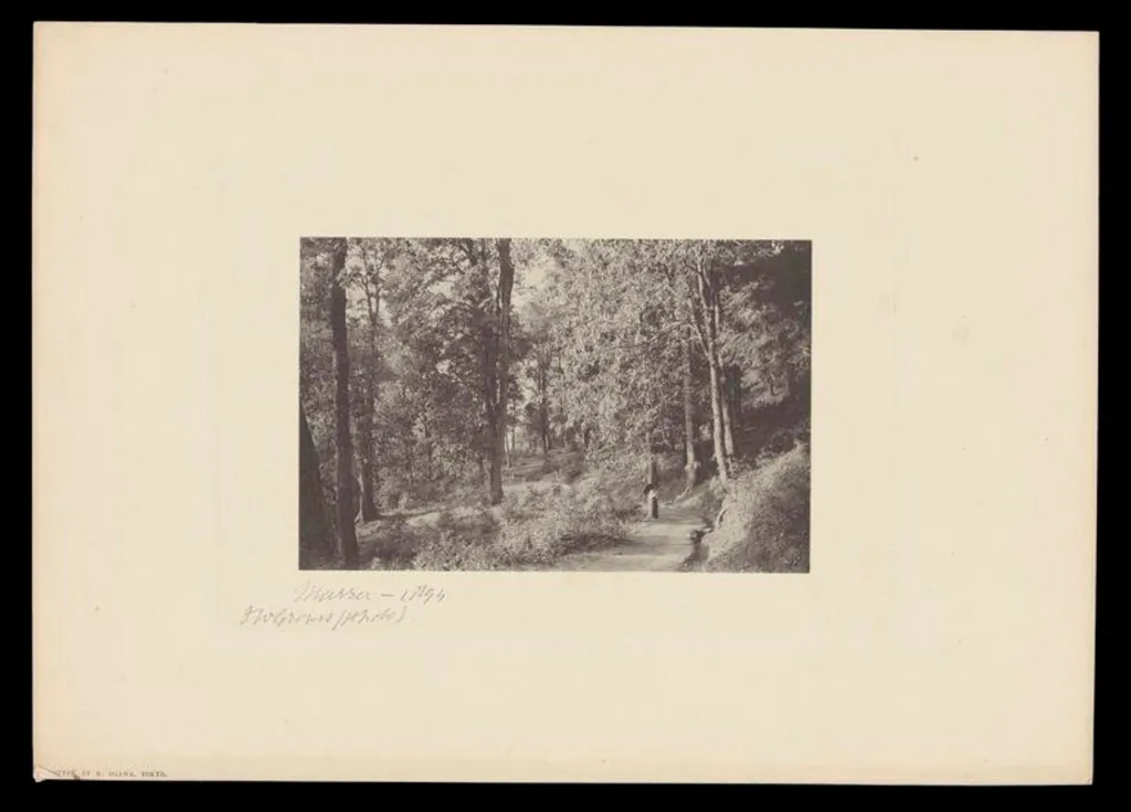 Murrer, by J.W. Groves, photographic, 1894
