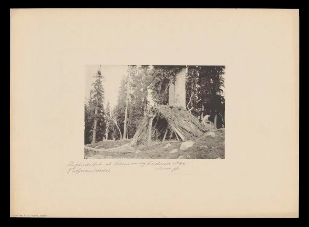 Shepherd's Hut at Khilanmarg, Kashmir, 10,000 ft, by J.W. Groves, photographic, 1894