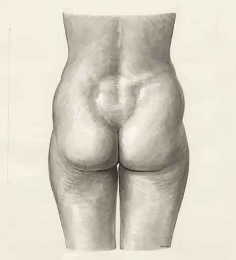 Female lower back and buttocks