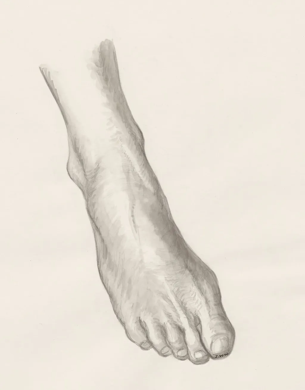 Right foot, by J Wetselaar-Whittaker, 1970
