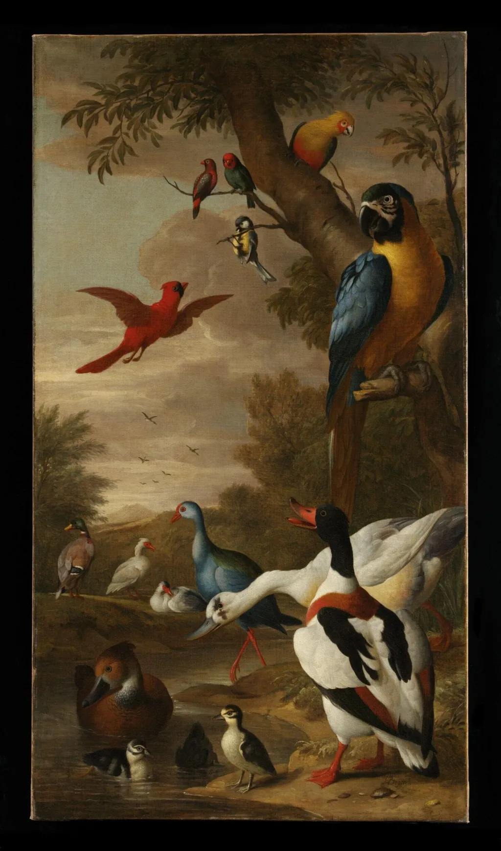 Farm birds with a macaw and a tom-tit in a tree, by Jacob Bogdani, oil, 1750