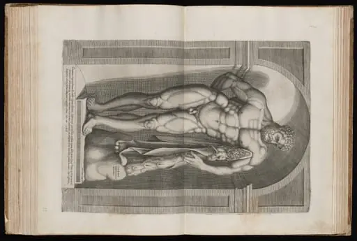 The Farnese Hercules, by Jacob Bos