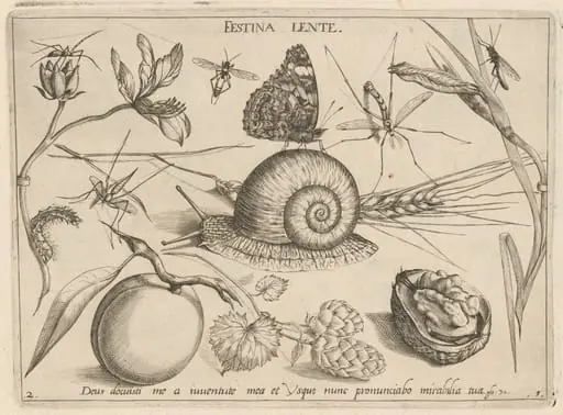 Archetypa studiaque patris Georgii Hoefnagelii [Part 1, Plate 2], by Jacob Hoefnagel