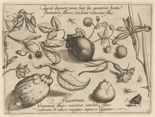 Archetypa studiaque patris Georgii Hoefnagelii [Part 4, Plate 2], by Jacob Hoefnagel
